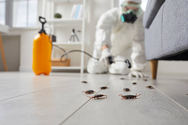 Commercial Kitchen Cockroach Control in Montclair